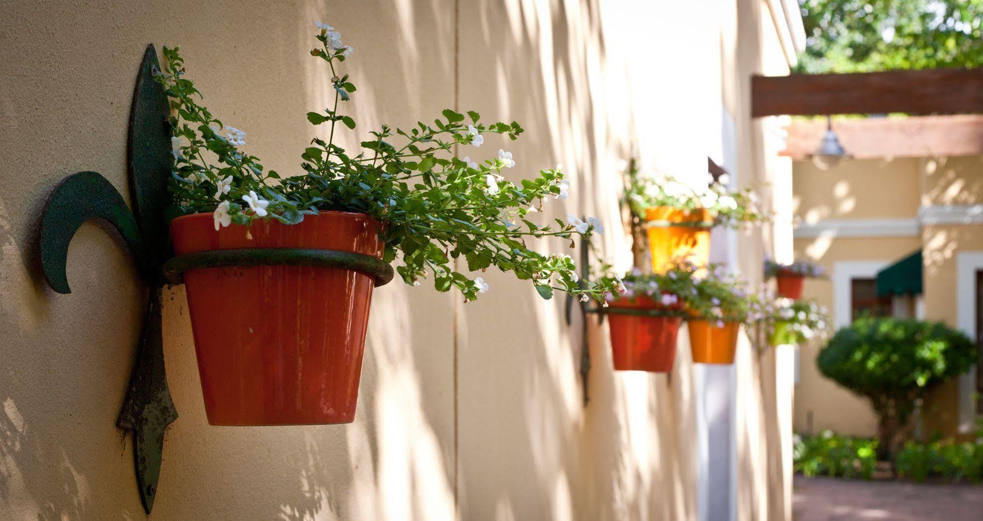 Willowbrook Country House Ciudad del Cabo Exterior foto