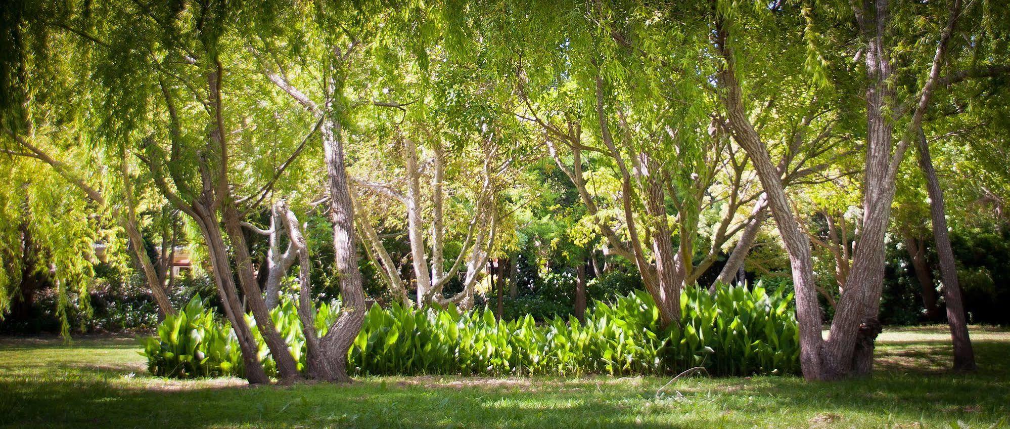 Willowbrook Country House Ciudad del Cabo Exterior foto
